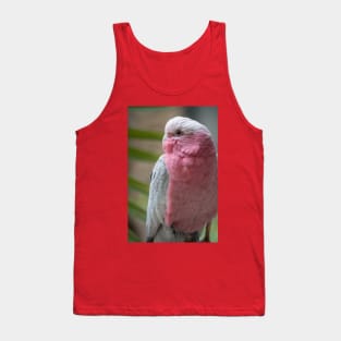 Galah Tank Top